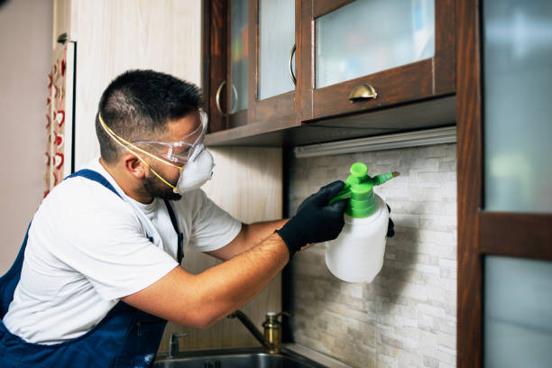 Best Pest Control Near Me in Millsboro, DE