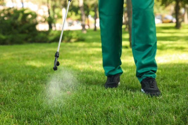 Best Exterminator Services  in Millsboro, DE