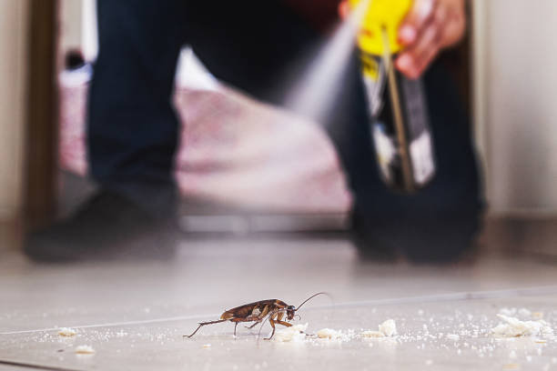 Pest Prevention Services in Millsboro, DE