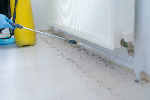 Pest Prevention Services in Millsboro, DE